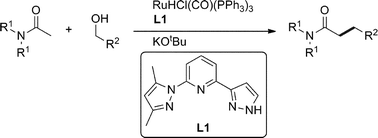 Graphical abstract: Ruthenium hydride/nitrogen tridentate ligand-catalyzed α-alkylation of acetamides with primary alcohols