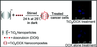Graphical abstract: Enhanced doxorubicin transport to multidrug resistant breast cancer cells via TiO2 nanocarriers