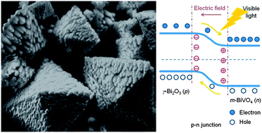 Graphical abstract: m-BiVO4@γ-Bi2O3 core–shell p–n heterogeneous nanostructure for enhanced visible-light photocatalytic performance