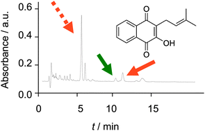 Graphical abstract: ‘Maya chemistry’ of organic–inorganic hybrid materials: isomerization, cyclicization and redox tuning of organic dyes attached to porous silicates