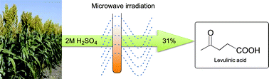 Graphical abstract: Production of platform molecules from sweet sorghum