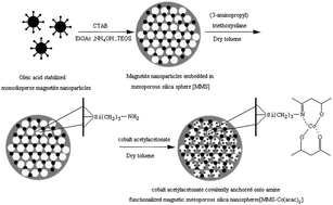 Graphical abstract: Preparation of cobalt(ii) acetylacetonate covalently anchored onto magnetic mesoporous silica nanospheres as a catalyst for liquid-phase oxidation of cyclohexane