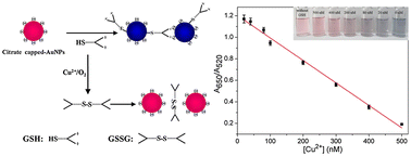 Graphical abstract: Selective and sensitive colorimetric detection of copper ions based on anti-aggregation of the glutathione-induced aggregated gold nanoparticles and its application for determining sulfide anions