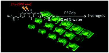 Graphical abstract: Initiation efficiency and cytotoxicity of novel water-soluble two-photon photoinitiators for direct 3D microfabrication of hydrogels