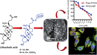 Graphical abstract: Novel self-assembled lithocholic acid nanoparticles for drug delivery in cancer