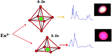 Graphical abstract: On the unusual photoluminescence of Eu3+ in α-Zn2P2O7: a time resolved emission spectrometric and Judd–Ofelt study