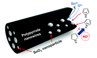 Graphical abstract: Facile synthesis of SnO2-polypyrrole hybrid nanowires by cathodic electrodeposition and their application to Li-ion battery anodes