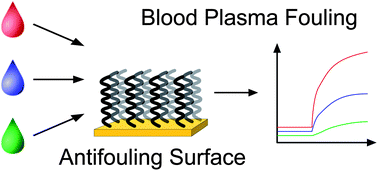 Graphical abstract: Use of pooled blood plasmas in the assessment of fouling resistance