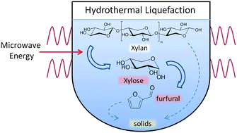 Graphical abstract: Hydrothermal production of furfural from xylose and xylan as model compounds for hemicelluloses