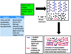 Graphical abstract: Fabrication of bionanocomposites comprising flat nanocrystals of calcium in collagen fibers exhibiting hardness comparable to metal