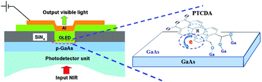 Graphical abstract: Influences of organic–inorganic interfacial properties on the performance of a hybrid near-infrared optical upconverter