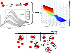 Graphical abstract: Quantitative characterization of the complexation between proteins and electroneutral polymers