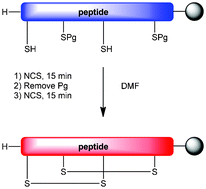 Graphical abstract: N-chlorosuccinimide, an efficient peptide disulfide bond-forming reagent in aqueous solution