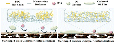 Graphical abstract: Bio- and oil-fouling resistance of ultrafiltration membranes controlled by star-shaped block and random copolymer coatings