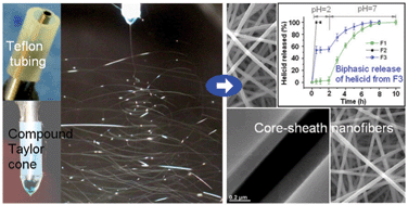 Graphical abstract: Coaxial electrospinning using a concentric Teflon spinneret to prepare biphasic-release nanofibers of helicid
