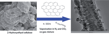 Graphical abstract: The growth of porous carbon fibres through in situ vapour deposition