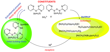 Graphical abstract: Dynamic combinatorial chemistry in a solvothermal process between nickel(ii), halides and organosulphur ligands