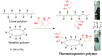 Graphical abstract: An amino-acid derivative as the universal molecular unit endowing thermoresponsive properties to water-soluble polymers with plenty of hydroxyl or amino groups