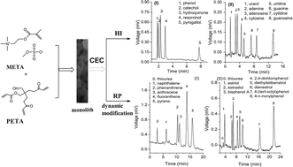 Graphical abstract: A polymer monolith for hydrophilic and dynamically surfactant-modified reversed-phase capillary electrochromatography