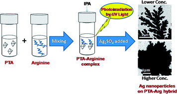 Graphical abstract: Organic–inorganic hybrid: a novel template for synthesis of nanostructured Ag