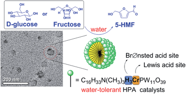 Graphical abstract: A water-tolerant C16H3PW11CrO39 catalyst for the efficient conversion of monosaccharides into 5-hydroxymethylfurfural in a micellar system