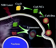 Graphical abstract: Ultra-high payload of doxorubicin and pH-responsive drug release in CuS nanocages for a combination of chemotherapy and photothermal therapy