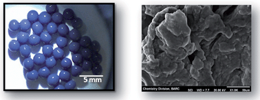 Graphical abstract: Potassium cobalthexacyanoferrate–gel beads for cesium removal: kinetics and sorption studies