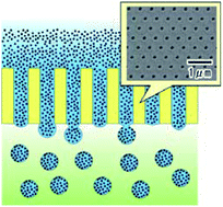 Graphical abstract: Monodisperse nanoparticles of metal oxides prepared by membrane emulsification using ordered anodic porous alumina