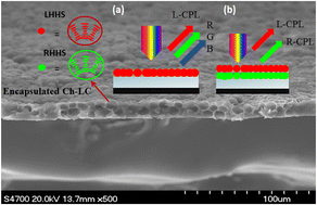 Graphical abstract: Fabrication of cholesteric liquid crystal microcapsulates by interfacial polymerization and potential as photonic materials