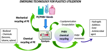 Graphical abstract: Performance evaluation and chemical recyclability of a polyethylene/poly(3-hydroxybutyrate-co-3-hydroxyvalerate) blend for sustainable packaging