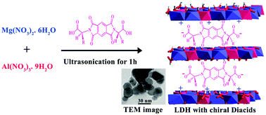 Graphical abstract: Ultrasonic-assisted synthesis and characterization of layered double hydroxides intercalated with bioactive N,N′-(pyromellitoyl)-bis-l-α-amino acids