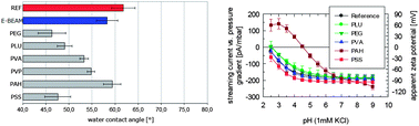 Graphical abstract: Permanent surface modification by electron-beam-induced grafting of hydrophilic polymers to PVDF membranes