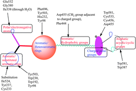 Graphical abstract: Combined ligand and structure based binding mode analysis of oxidosqualene cyclase inhibitors