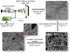 Graphical abstract: One-dimensional hierarchical composite materials based on ZnO nanowires and electrospun blend nanofibers