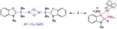 Graphical abstract: Phosphanyl-substituted π-excess σ2P heterocycles: Coordination behaviour of 2-di-tert-butylphosphanyl-1-neopentyl-1,3-benzazaphosphole towards CuCl, HgCl2 and [Rh(COD)2]BF4