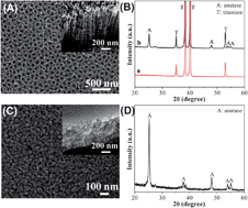 Graphical abstract: Instant inactivation and rapid decomposition of Escherichia coli using a high efficiency TiO2 nanotube array photoelectrode