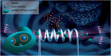 Graphical abstract: Polyhedral iron oxide core–shell nanoparticles in a biodegradable polymeric matrix: preparation, characterization and application in magnetic particle hyperthermia and drug delivery