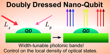 Graphical abstract: Double dressing and manipulation of the photonic density of states in nanostructured qubits