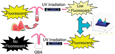 Graphical abstract: Matrix isopotential synchronous fluorescence spectrometry for the determination of gibberellic acid in watermelon after ultraviolet-irradiation