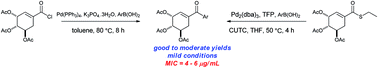 Graphical abstract: Design, synthesis, and preliminary biological evaluation of novel ketone derivatives of shikimic acid