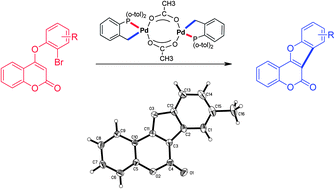 Graphical abstract: Efficient synthesis of coumarin-based tetra and pentacyclic rings using phospha-palladacycles