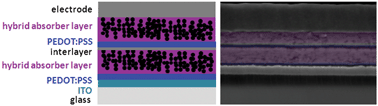 Graphical abstract: Exploring polymer/nanoparticle hybrid solar cells in tandem architecture