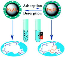 Graphical abstract: Rational design and preparation of magnetic imprinted polymers for removal of indole by molecular simulation and improved atom transfer radical polymerization