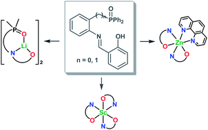 Graphical abstract: Lithium, zinc and scandium complexes of phosphorylated salicylaldimines: synthesis, structure, thermochemical and photophysical properties, and application in OLEDs