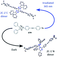Graphical abstract: Photocrystallisation of the 2C–2′C dimer of a triphenylimidazolyl radical
