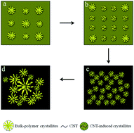 Graphical abstract: Carbon nanotube-induced morphological transformation for toughening of benzoxazole-containing semi-crystalline polyimide