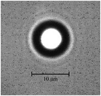 Graphical abstract: Laser heating of sulfuric acid droplets held in air by laser Raman tweezers