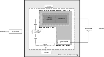 Graphical abstract: Strategies for the consolidation of biologically mediated events in the conversion of pre-treated lignocellulose into ethanol