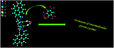 Graphical abstract: Conformation induced discrimination between picric acid and nitro derivatives/anions with a Cu-pyrene array: the first decision making photonic device