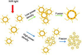 Graphical abstract: Near-infrared light induced fusion and fission of azobenzene-containing polymer vesicles
